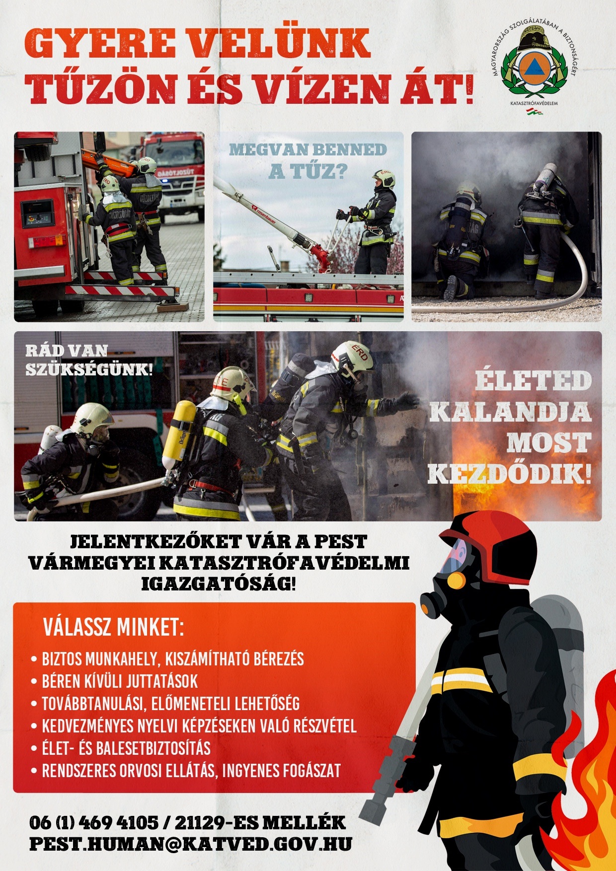 Kat ved plakat