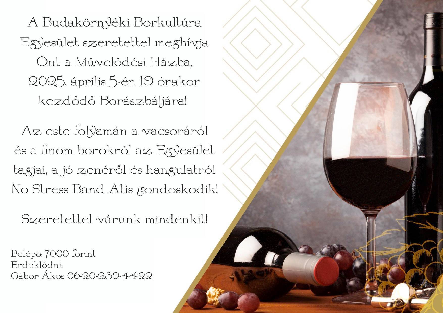 Boraszbal 25
