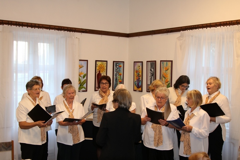 Paty kozseg ertekei kicsi 018