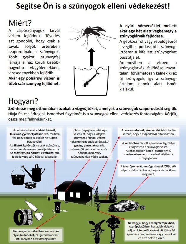 Szunyogok